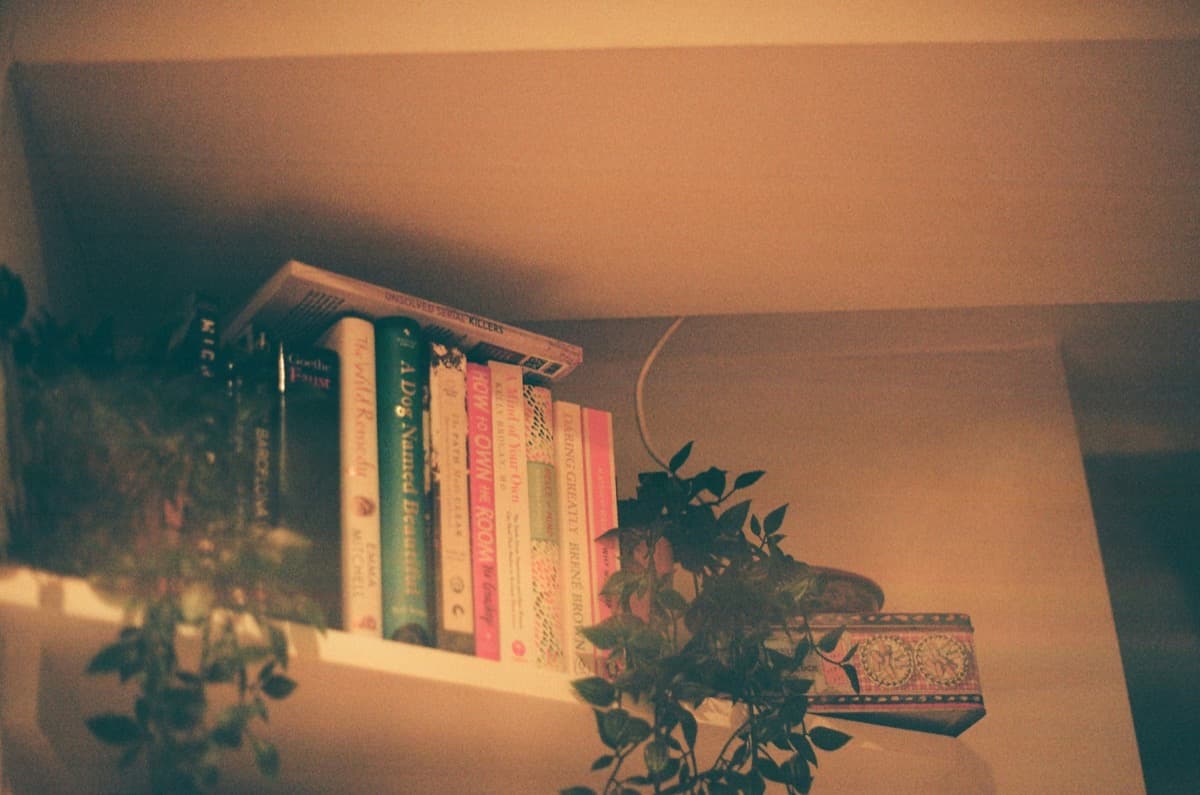 퀴어 문학·웹툰 추천: 읽을수록 깊어지는 우리 이야기