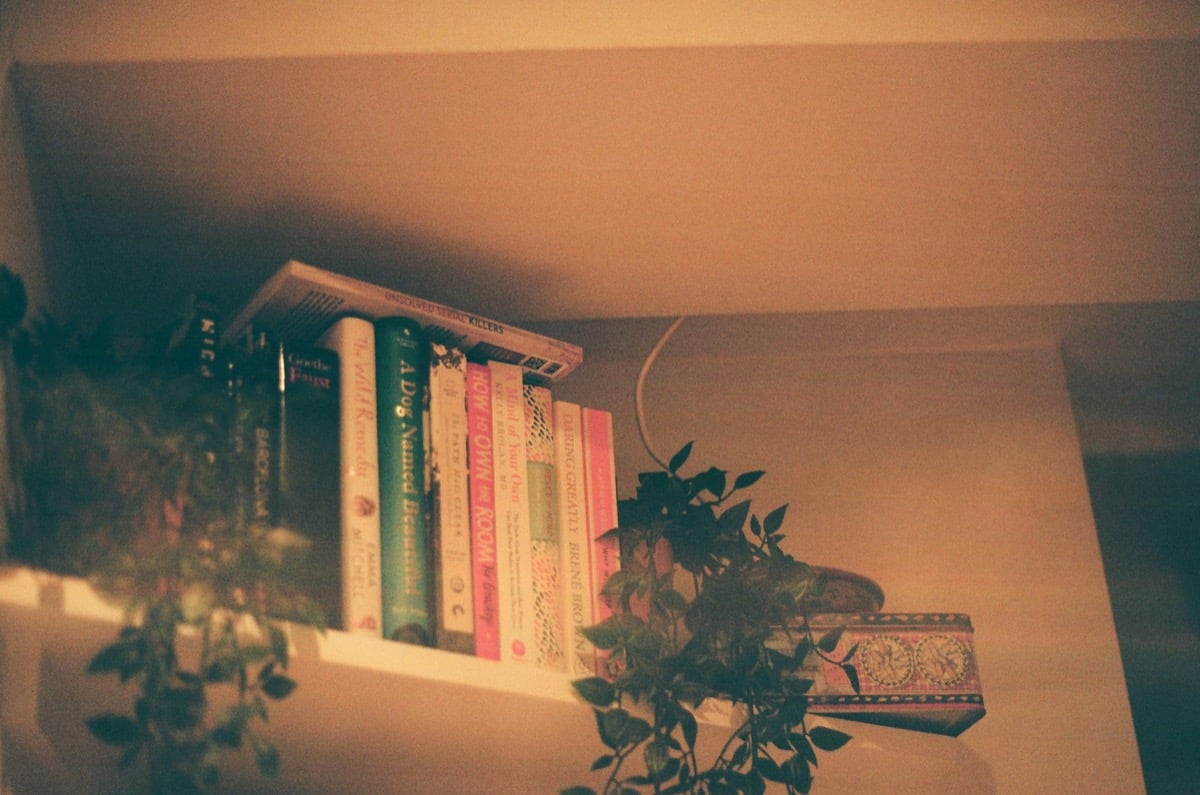 퀴어 문학·웹툰 추천: 읽을수록 깊어지는 우리 이야기