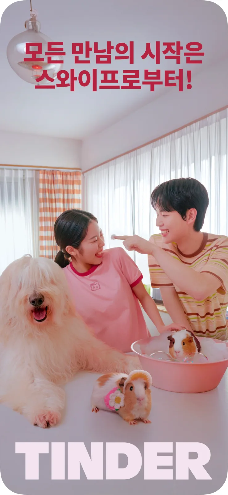 Tinder 스크린샷 1